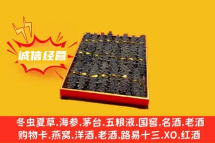 矿区回收海参