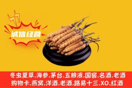矿区回收冬虫夏草
