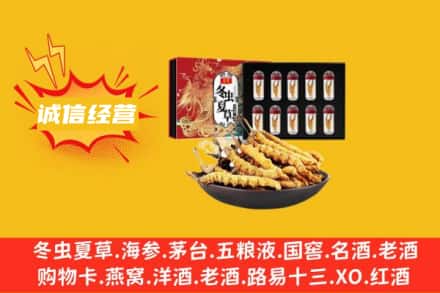 矿区回收冬虫夏草鉴定方法